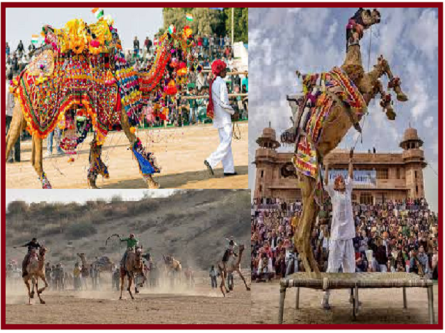 Bikaner Camel Festival 2024